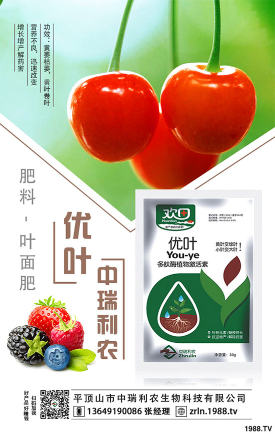 芋頭的品種選擇，芋頭種植需要哪些注意事項(xiàng)？