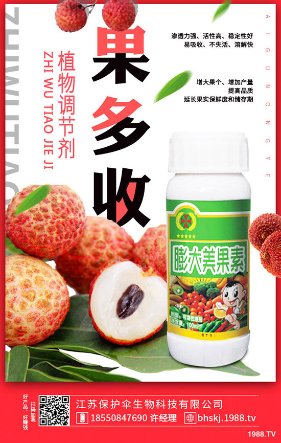大蒜更新價(jià)格多少錢一斤？2020年大蒜種植前景如何？