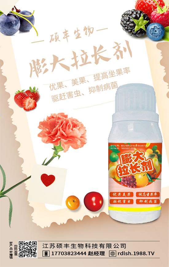 大棚西芹怎么種植？西芹的種植環(huán)境要求！
