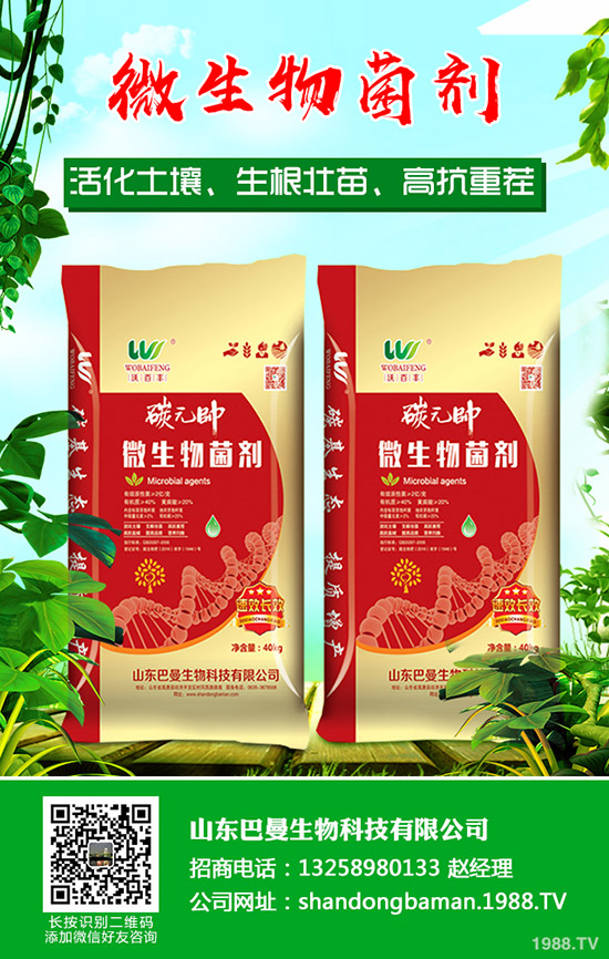     臨近年關(guān)！春節(jié)期間部分企業(yè)尿素停產(chǎn)！2019年12月末最新尿素行情走勢！