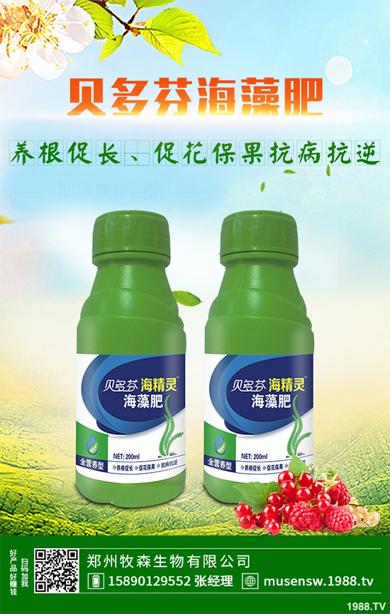 天麻該怎么種植？天麻的環(huán)境要求及種植技巧