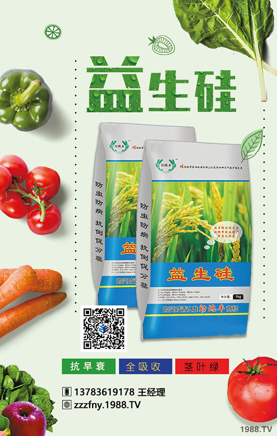 如何掌握蘋果的上肥技術(shù)？這幾點你學(xué)會，增產(chǎn)增收！