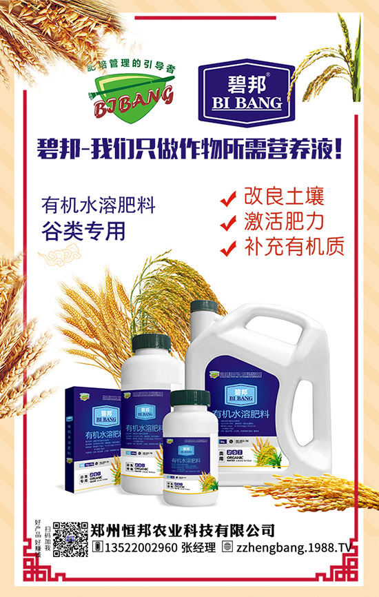 吃天麻有哪些好處？天麻的功效作用及食用禁忌