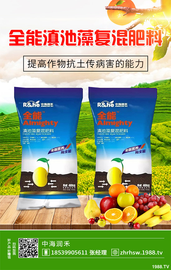 新鮮天麻和干天麻有哪些區(qū)別？那個(gè)效果更好？