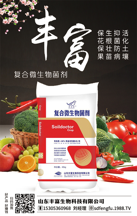 枇杷什么時間嫁接比較好？嫁接的枇杷樹幾年結(jié)果？（枇杷樹嫁接方法）