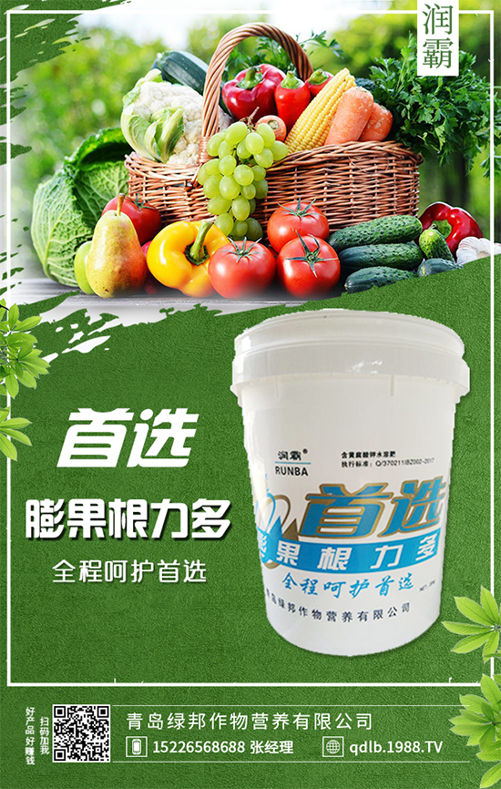 枇杷樹(shù)嫁接與不嫁接有區(qū)別嗎?枇杷樹(shù)的播種繁殖!