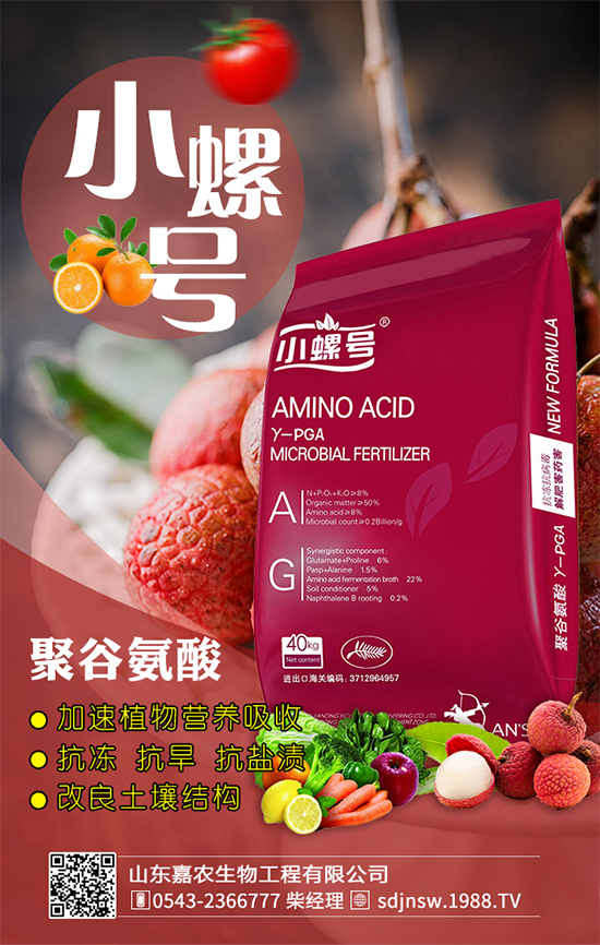 金針菇什么時(shí)間栽培？金針菇生長(zhǎng)條件！