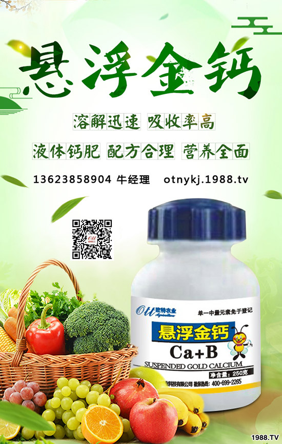 草莓得了葉枯病怎么辦，如何防治？草莓葉枯病防治方法！