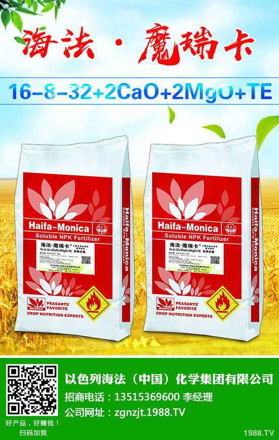     2020年磷銨價(jià)格行情如何？會(huì)漲價(jià)格么？最新行情走勢(shì)預(yù)測(cè)！