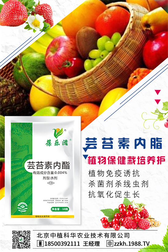 彩椒什么時間種植？彩椒的高產(chǎn)種植方法！