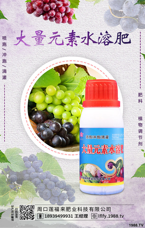豆角煤霉病如何防治，豆角煤霉病藥有哪些？