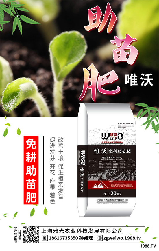    山藥什么時候采收？山藥的貯藏方法有哪些？