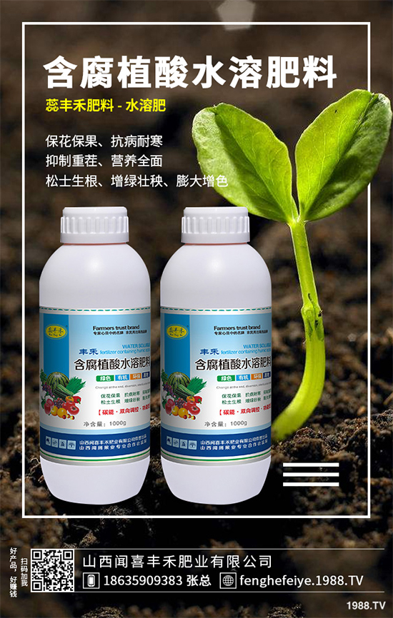 盆栽蔬菜該怎么種？盆栽蔬菜的高產(chǎn)種植技術(shù)