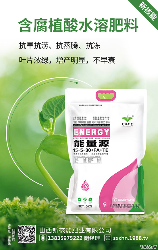 盆栽蔬菜該怎么種？盆栽蔬菜的高產(chǎn)種植技術(shù)