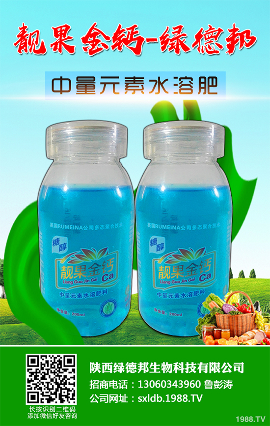盆栽蔬菜有哪些品種？盆栽蔬菜的種植條件和注意事項(xiàng)