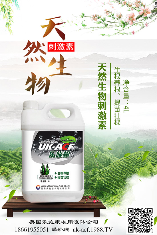 冬季該如何栽培馬鈴薯？七步輕松獲得高產(chǎn)