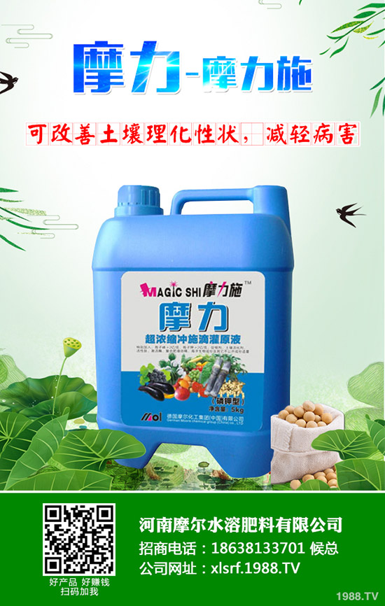 甜瓜用什么肥料好，甜瓜施肥技術(shù)有哪些？