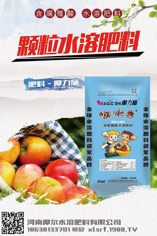 葉面肥種類有哪些，如何正確使用葉面肥？