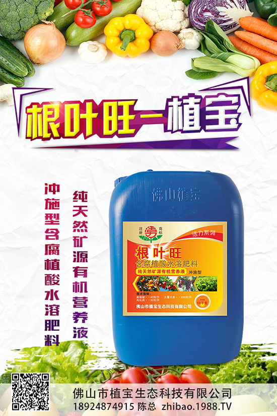 秋蘿卜什么時(shí)候種？該怎么種？2019秋蘿卜種植管理方案