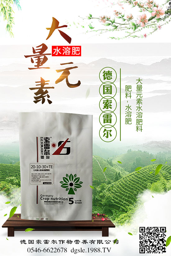 青棗的功效與作用，吃青棗有什么好處？