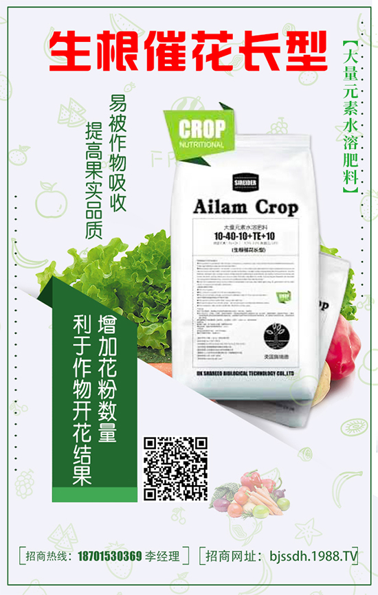 豌豆什么時間種植？豌豆高產(chǎn)種植技術(shù)要點有哪些？
