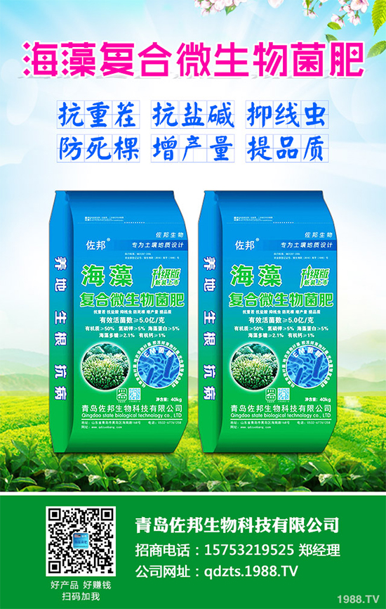     芹菜是日常生活中常見的蔬菜品種，對(duì)種植環(huán)境要求相對(duì)較高，只有在黏性土壤上才可以正常的生長(zhǎng)。那么，芹菜什么時(shí)候種植比較好？大棚芹菜該如何種植呢？