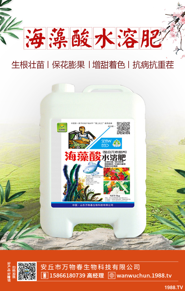 紫皮蒜怎么種植？紫皮蒜的種植管理方法