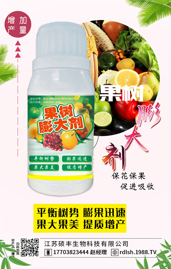 黑木耳的功效與作用，黑木耳的飲食禁忌有哪些？