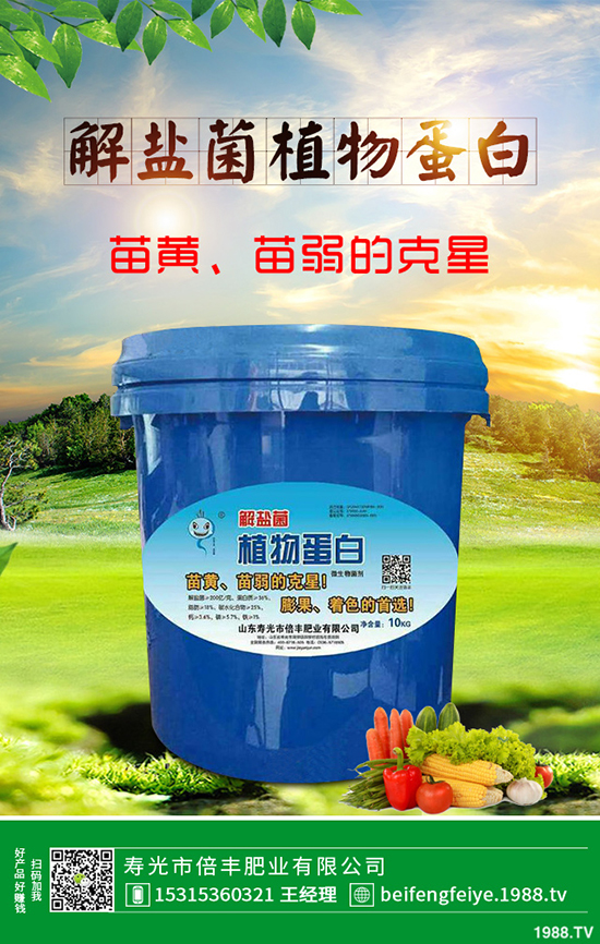 芹菜立枯病時如何引起的？該怎樣預防？芹菜立枯病大預防措施