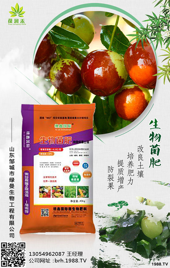 甘蔗是如何種植的，秋植蔗栽培技術要點有哪些？