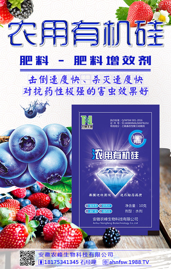 枸杞得了炭疽病怎么辦？枸杞炭疽病危害及防治方法！