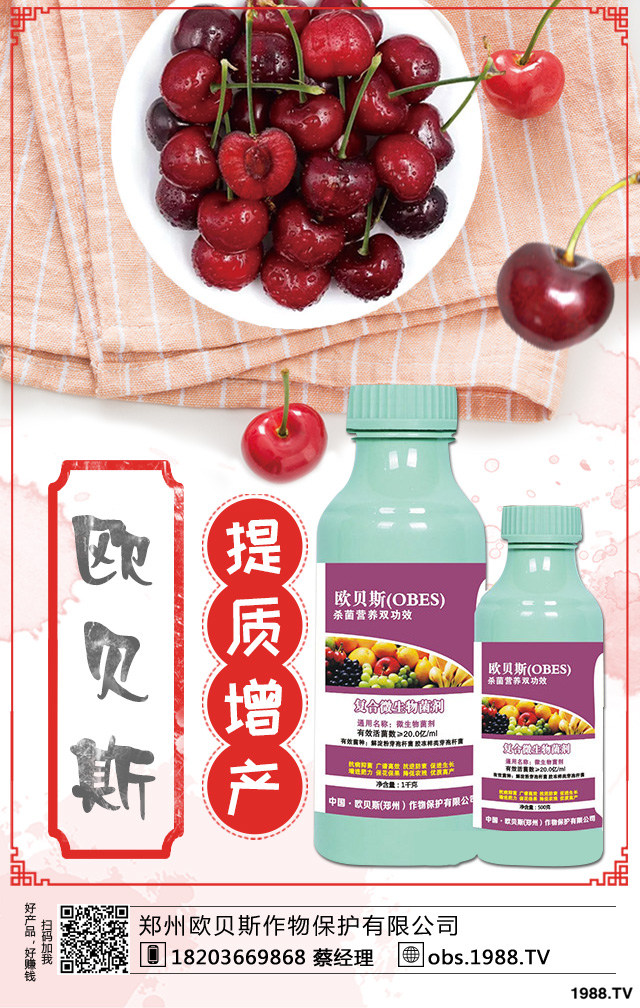 西洋梨如何種植？西洋梨樹栽培技術(shù)