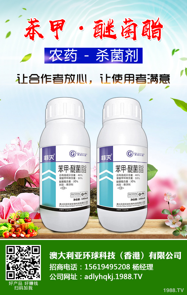 甜瓜根腐病怎么防治效果好？冬季棚室甜瓜根腐病防治