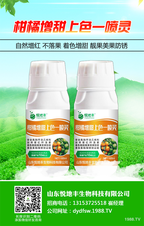 西蘭花該怎么種植？西蘭花高產(chǎn)種植技術(shù)要點(diǎn)