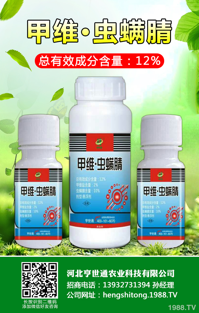 如何巧治馬鈴薯甲蟲害？馬鈴薯甲蟲害防治技巧