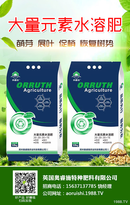     中秋將至！最新復(fù)合肥市場(chǎng)價(jià)格行情走勢(shì)分析2019-9-11