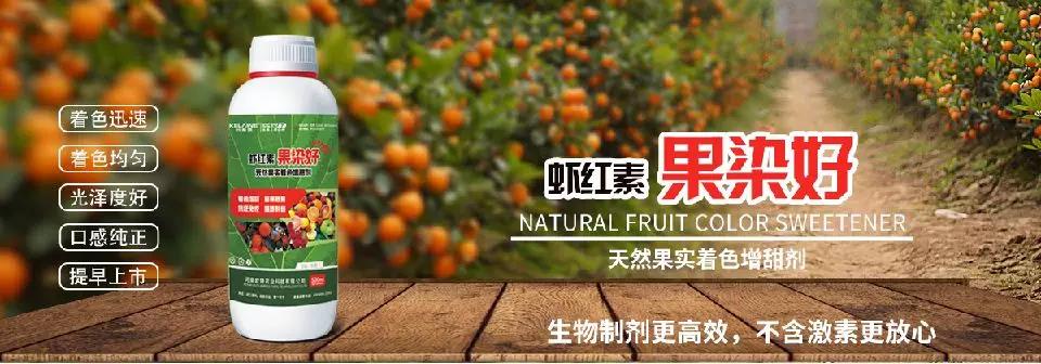 天然果實著色增甜劑——蝦紅素●果染好！