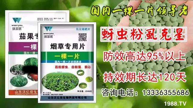 蚜蟲、飛虱防不??？一片藥輕松搞定！預(yù)防率95%，持效長達(dá)120天！