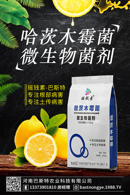 虎皮蘭爛根怎么辦，虎皮蘭爛根的防治措施！
