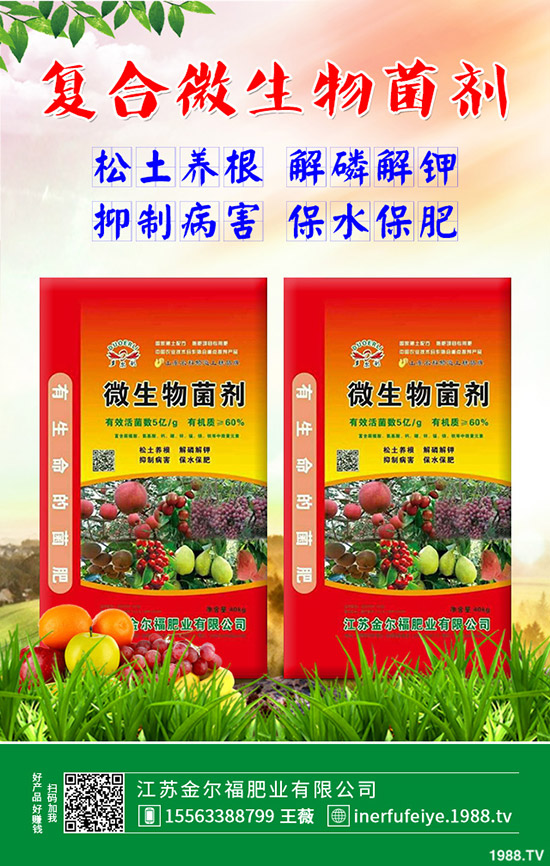 彩色花椰菜多少錢一斤？彩色花菜種植效益如何？
