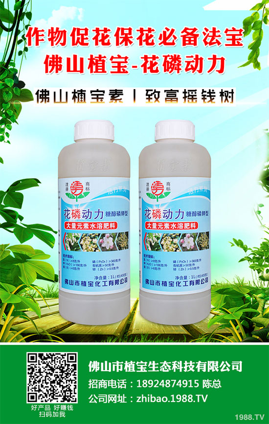 秋季大蔥什么時(shí)間種植？2019秋茬大蔥種植技術(shù)指南