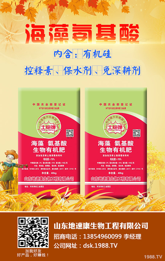     吃甘蔗都有哪些好處？甘蔗的功效與作用有哪些？甘蔗如何選購才更好？