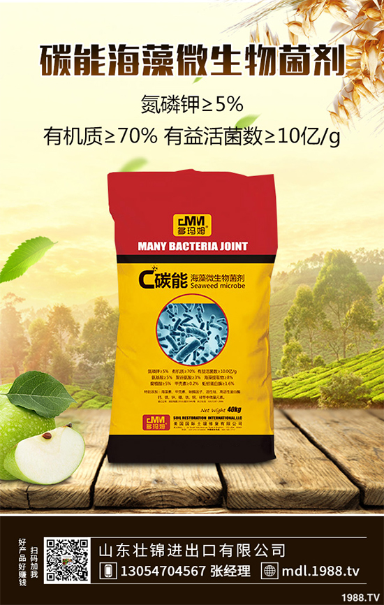 大蔥紫斑病有哪些危害？是如何引起的？大蔥紫斑病的防治措施