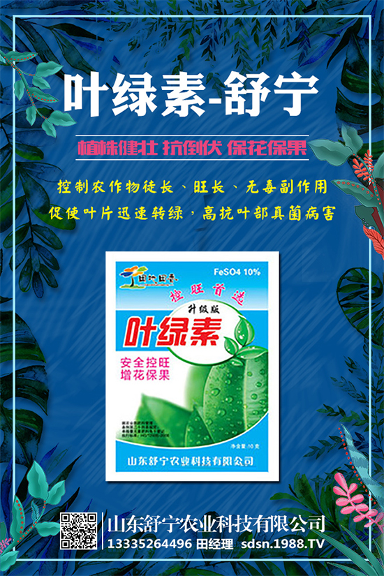 柿子怎么種植？種植柿子的注意事項(xiàng)有哪些？