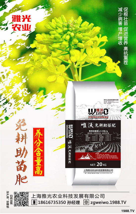 紫薯有哪些營(yíng)養(yǎng)價(jià)值，紫薯與紅薯相比哪個(gè)更有營(yíng)養(yǎng)？