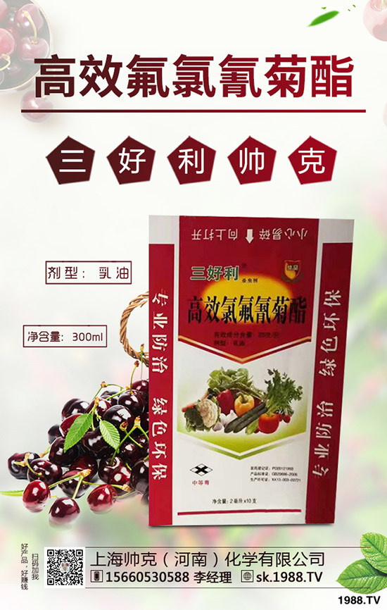 辣木樹的種植前景如何，如何種植辣木樹？