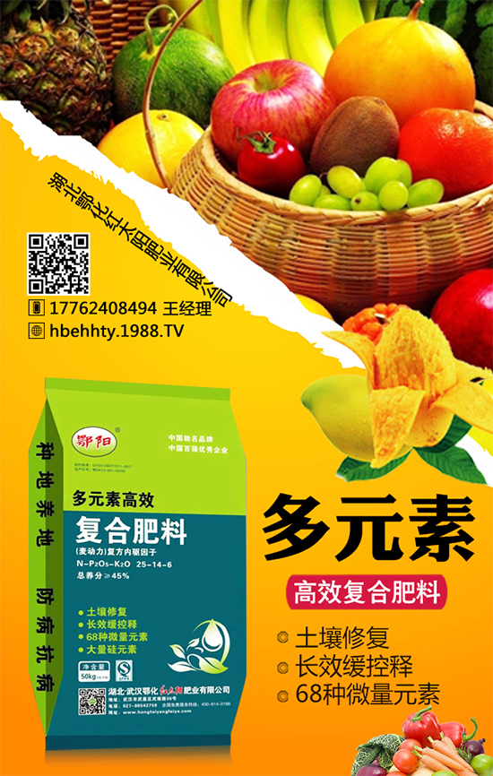 黃皮火龍果怎么種植？黃皮火龍果的種植技術(shù)！