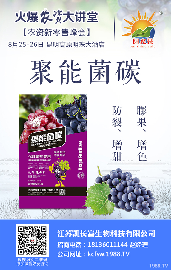 盆栽豌豆該怎么種？盆栽豌豆種植方法及注意事項