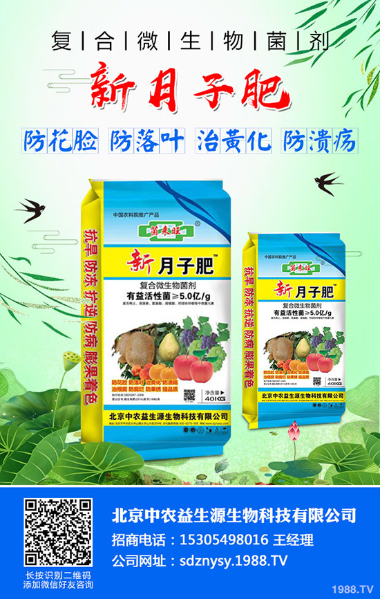 芹菜燒心、空心、葉柄開裂什么原因？芹菜燒心防治方法有哪些？
