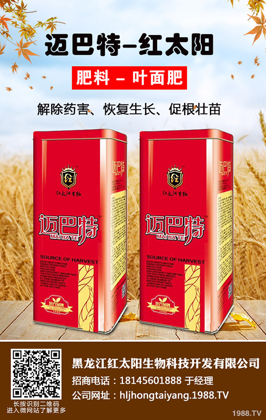 常吃紫蘇有什么好處，紫蘇的作用與功效！